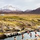 AREQUIPA TO UYUNI (OR SAN PEDRO) VIA LAKE TITICACA, LA PAZ & SAJAMA – 8-DAY OVERLAND TOUR