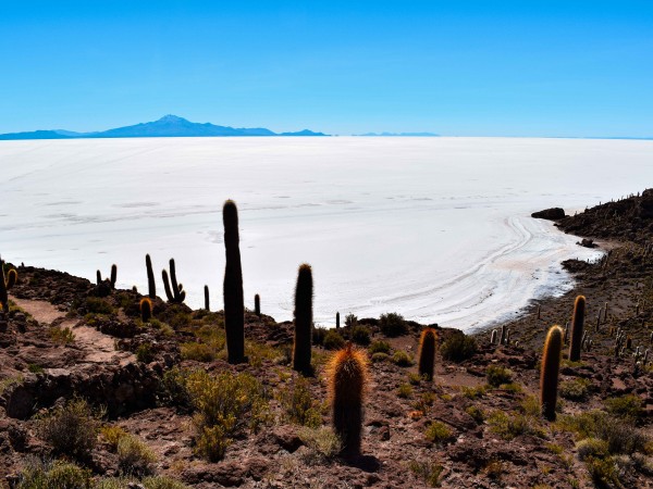 AREQUIPA TO UYUNI (OR SAN PEDRO) VIA LAKE TITICACA, LA PAZ & SAJAMA – 8-DAY OVERLAND TOUR