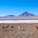 AREQUIPA TO UYUNI (OR SAN PEDRO) VIA LAKE TITICACA, LA PAZ & SAJAMA – 8-DAY OVERLAND TOUR