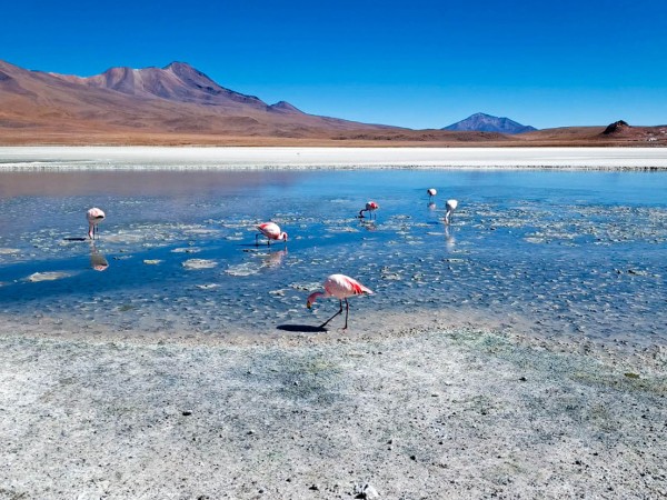 AREQUIPA TO UYUNI (OR SAN PEDRO) VIA LAKE TITICACA, LA PAZ & SAJAMA – 8-DAY OVERLAND TOUR
