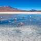 AREQUIPA TO UYUNI (OR SAN PEDRO) VIA LAKE TITICACA, LA PAZ & SAJAMA – 8-DAY OVERLAND TOUR