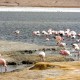 CUZCO TO UYUNI (OR SAN PEDRO) VIA LAKE TITICACA, LA PAZ & SAJAMA – 8-DAY OVERLAND TOUR