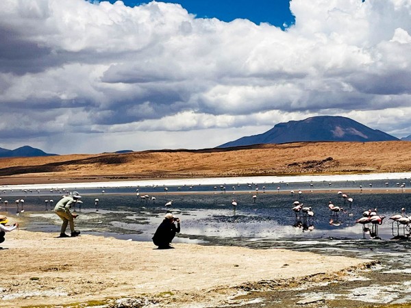 CUZCO TO UYUNI (OR SAN PEDRO) VIA LAKE TITICACA, LA PAZ & SAJAMA – 8-DAY OVERLAND TOUR