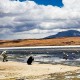 CUZCO TO UYUNI (OR SAN PEDRO) VIA LAKE TITICACA, LA PAZ & SAJAMA – 8-DAY OVERLAND TOUR