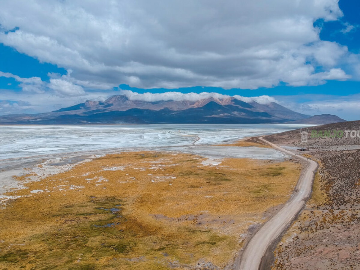 Salinas (Salt Flats) y Aguada Blanca Reserve Day Trip Banjo Tours