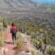 VALLEY OF THE VOLCANOES & COLCA CANYON – 4 DAY OVERLAND TOUR FROM AREQUIPA