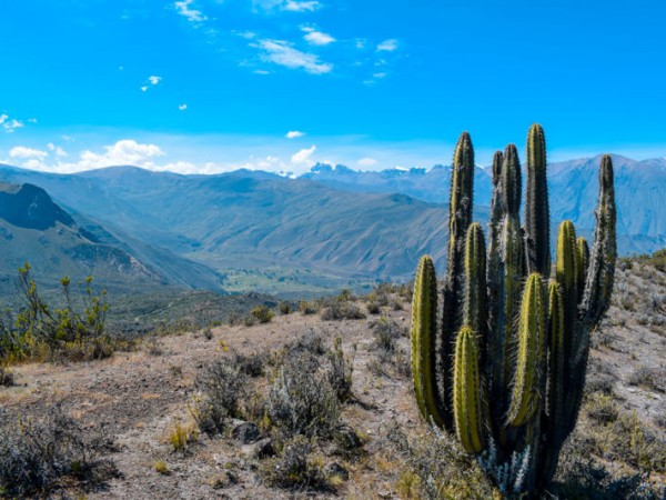 VALLEY OF THE VOLCANOES & COLCA CANYON – 4 DAY OVERLAND TOUR FROM AREQUIPA