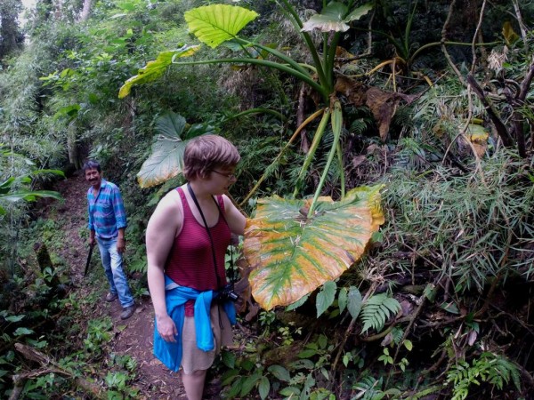 Southern Amboro National Park (Refugio Los Volcanes) - 2 Days