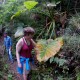 Southern Amboro National Park (Refugio Los Volcanes) - 2 Days