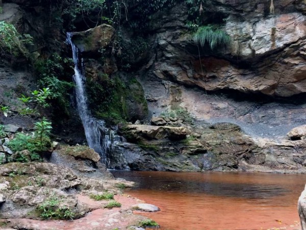 Southern Amboro National Park (Refugio Los Volcanes) - 2 Days