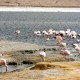 CALAMA TO CALAMA VIA UYUNI & EDUARDO AVAROA RESERVE –  4 DAY ROUND-TRIP TOUR