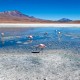 CALAMA TO CALAMA VIA UYUNI & EDUARDO AVAROA RESERVE –  4 DAY ROUND-TRIP TOUR