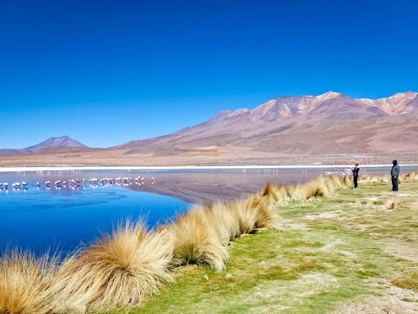 CALAMA TO CALAMA VIA UYUNI & EDUARDO AVAROA RESERVE –  4 DAY ROUND-TRIP TOUR