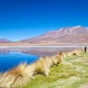 CALAMA TO CALAMA VIA UYUNI & EDUARDO AVAROA RESERVE –  4 DAY ROUND-TRIP TOUR