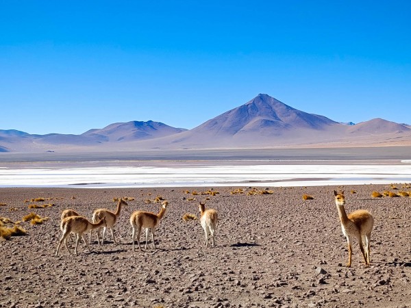 SAN PEDRO DE ATACAMA TO LA PAZ VIA UYUNI – 5 DAYS