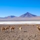 SAN PEDRO DE ATACAMA TO LA PAZ VIA UYUNI – 5 DAYS