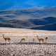 SAN PEDRO DE ATACAMA TO ARICA VIA UYUNI & SAJAMA NP – 6-DAY OVERLAND TOUR
