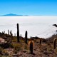 SAN PEDRO DE ATACAMA TO ARICA VIA UYUNI & SAJAMA NP – 6-DAY OVERLAND TOUR