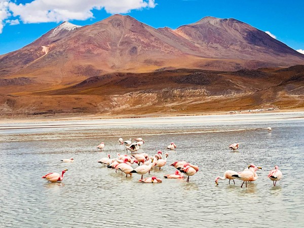 SAN PEDRO DE ATACAMA TO ARICA VIA UYUNI & SAJAMA NP – 6-DAY OVERLAND TOUR