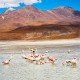 SAN PEDRO DE ATACAMA TO ARICA VIA UYUNI & SAJAMA NP – 6-DAY OVERLAND TOUR
