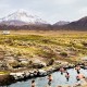 SAN PEDRO DE ATACAMA TO ARICA VIA UYUNI & SAJAMA NP – 6-DAY OVERLAND TOUR