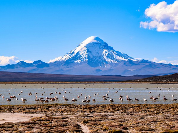 SAN PEDRO DE ATACAMA TO ARICA VIA UYUNI & SAJAMA NP – 6-DAY OVERLAND TOUR