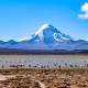 SAN PEDRO DE ATACAMA TO ARICA VIA UYUNI & SAJAMA NP – 6-DAY OVERLAND TOUR