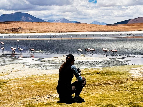 SAN PEDRO DE ATACAMA TO ARICA VIA UYUNI & SAJAMA NP – 6-DAY OVERLAND TOUR