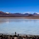 SAN PEDRO DE ATACAMA TO ARICA VIA UYUNI & SAJAMA NP – 6-DAY OVERLAND TOUR