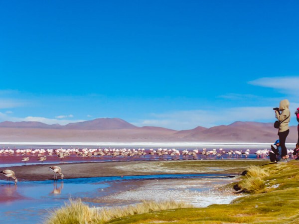 ARICA TO SAN PEDRO DE ATACAMA (or vice versa) VIA UYUNI SALT FLATS