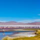 ARICA TO SAN PEDRO DE ATACAMA (or vice versa) VIA UYUNI SALT FLATS