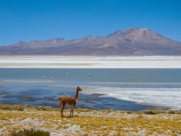 ARICA TO SAN PEDRO DE ATACAMA (or vice versa) VIA UYUNI SALT FLATS