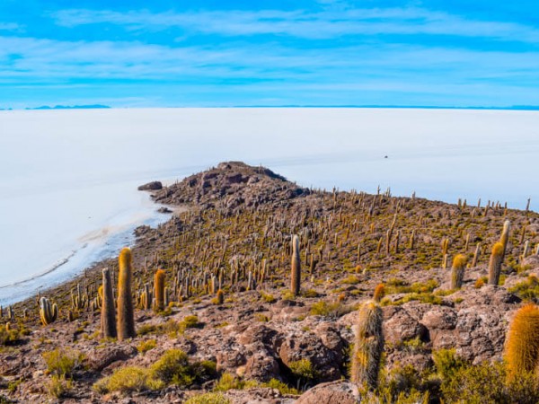 Rizado favorito Punta de flecha Uyuni Salt Flats from Arica or San Pedro de Atacama - 6 day 4WD expedition