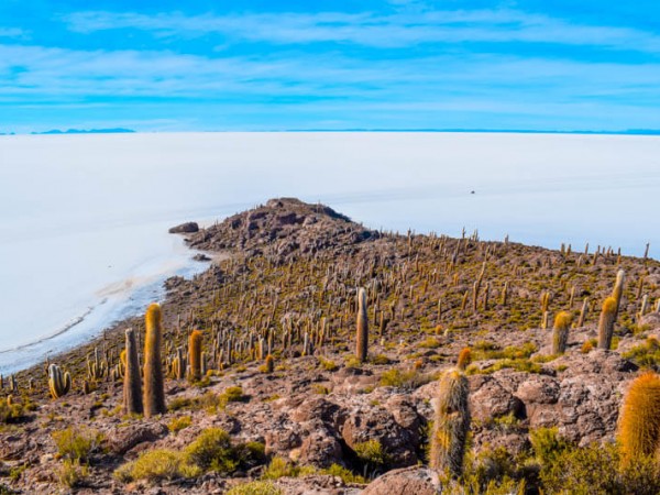 ARICA TO SAN PEDRO DE ATACAMA (or vice versa) VIA UYUNI SALT FLATS