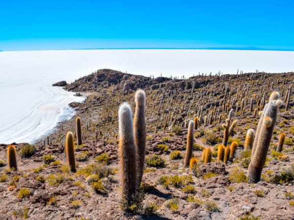 SAN PEDRO DE ATACAMA TO UYUNI - 3 DAY SALAR DE UYUNI TOUR