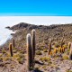 SAN PEDRO DE ATACAMA TO UYUNI - 4 DAY SALAR DE UYUNI TOUR FROM SAN PEDRO TO SAN PEDRO