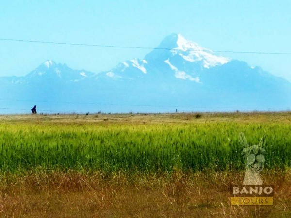 LAKE TITICACA & ISLA DEL SOL - 2 DAYS