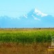 LAKE TITICACA & ISLA DEL SOL - 2 DAYS