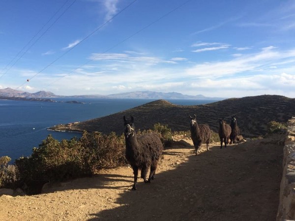 LAKE TITICACA & ISLA DEL SOL - 2 DAYS