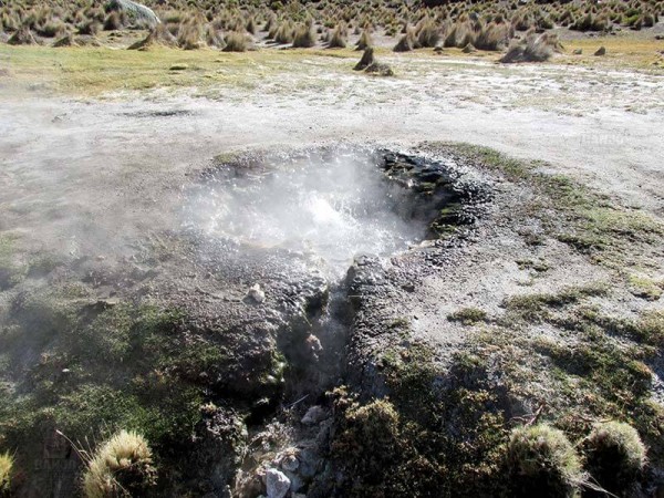 SAJAMA NATIONAL PARK - 2 DAYS