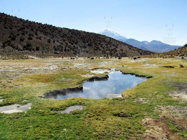 SAJAMA NATIONAL PARK - 2 DAYS