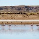 SAJAMA NATIONAL PARK - 2 DAYS