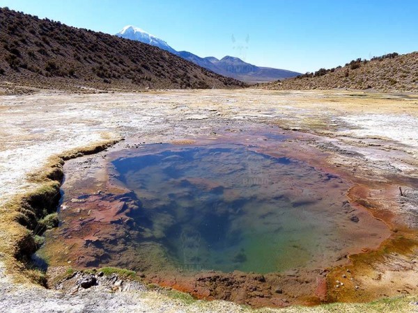 SAJAMA NATIONAL PARK - 3 DAYS