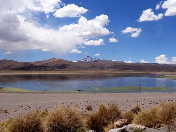 SAJAMA NATIONAL PARK - 3 DAYS