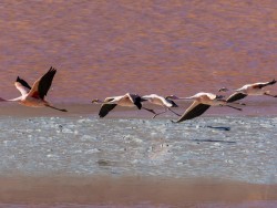 UYUNI TO SAN PEDRO DE ATACAMA – 3 DAYS