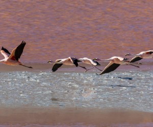 UYUNI TO SAN PEDRO DE ATACAMA – 3 DAYS