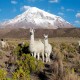 LA PAZ TO UYUNI VIA SAJAMA NATIONAL PARK – 5 DAYS