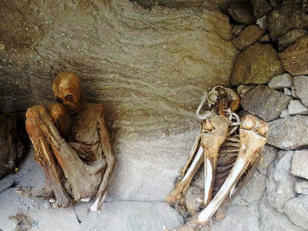 LA PAZ TO UYUNI VIA SAJAMA NP – 5 DAYS