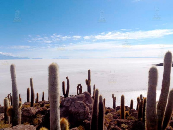 LA PAZ TO UYUNI VIA SAJAMA NATIONAL PARK – 5 DAYS