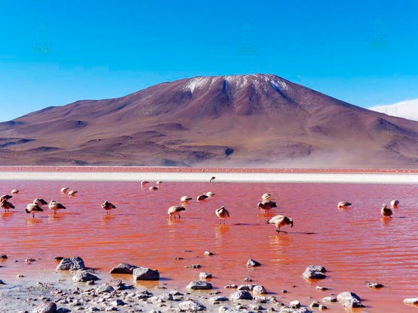 LA PAZ TO UYUNI VIA SAJAMA NATIONAL PARK – 5 DAYS